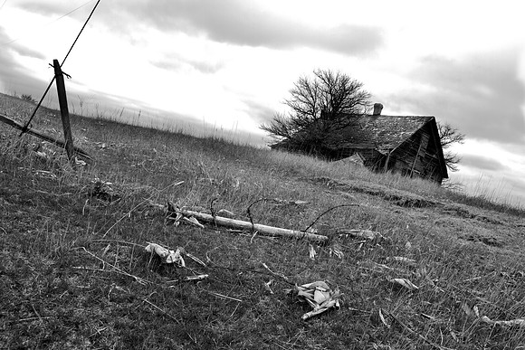 remnants #2