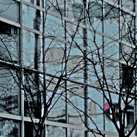 light of a city