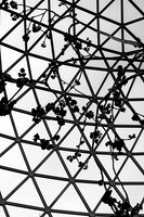 bioDOME